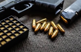 firearm licence